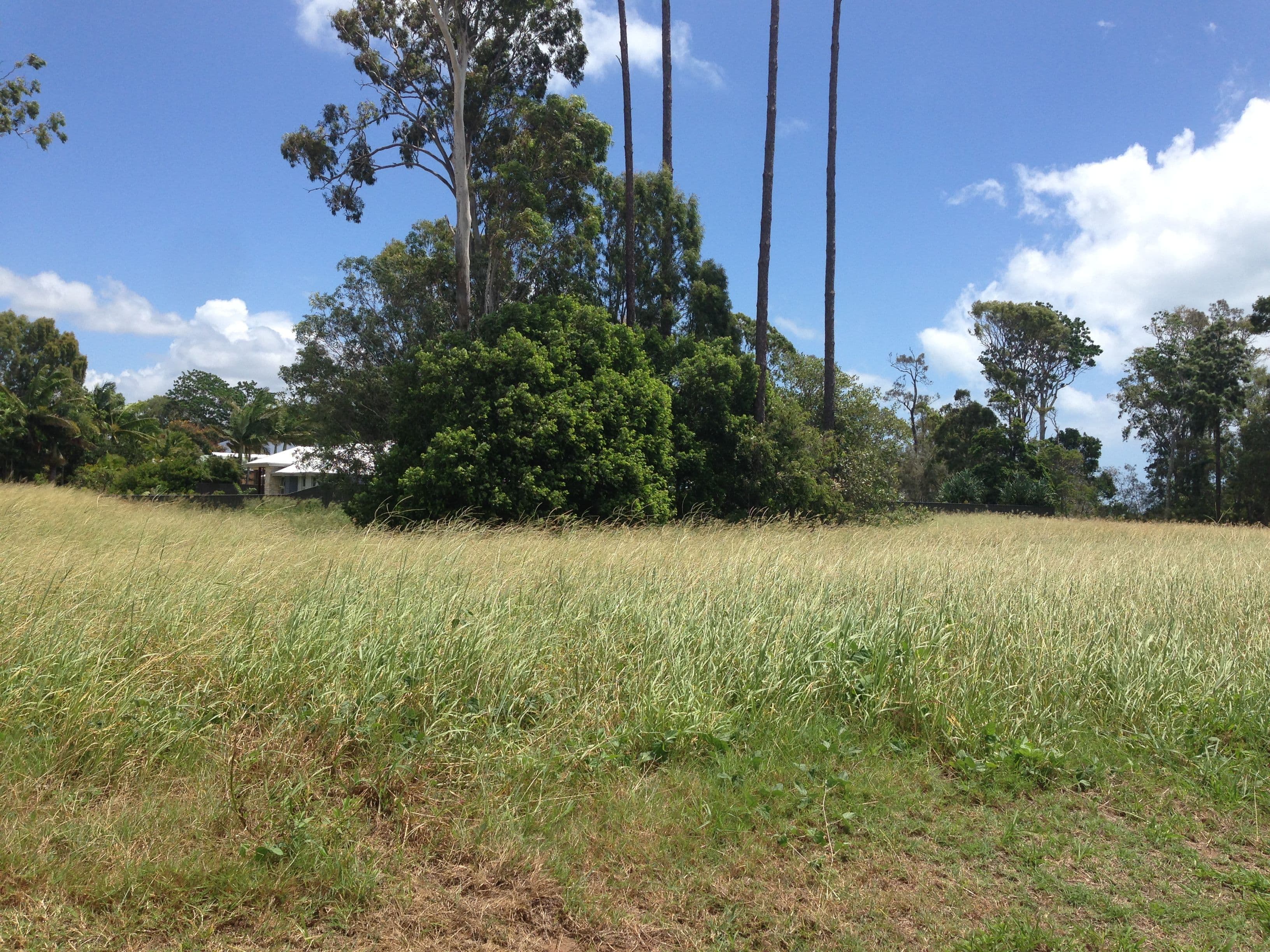 9 Nautilus Court, Dundowran Beach QLD 4655, Dundowran Beach - Thumbnail 2