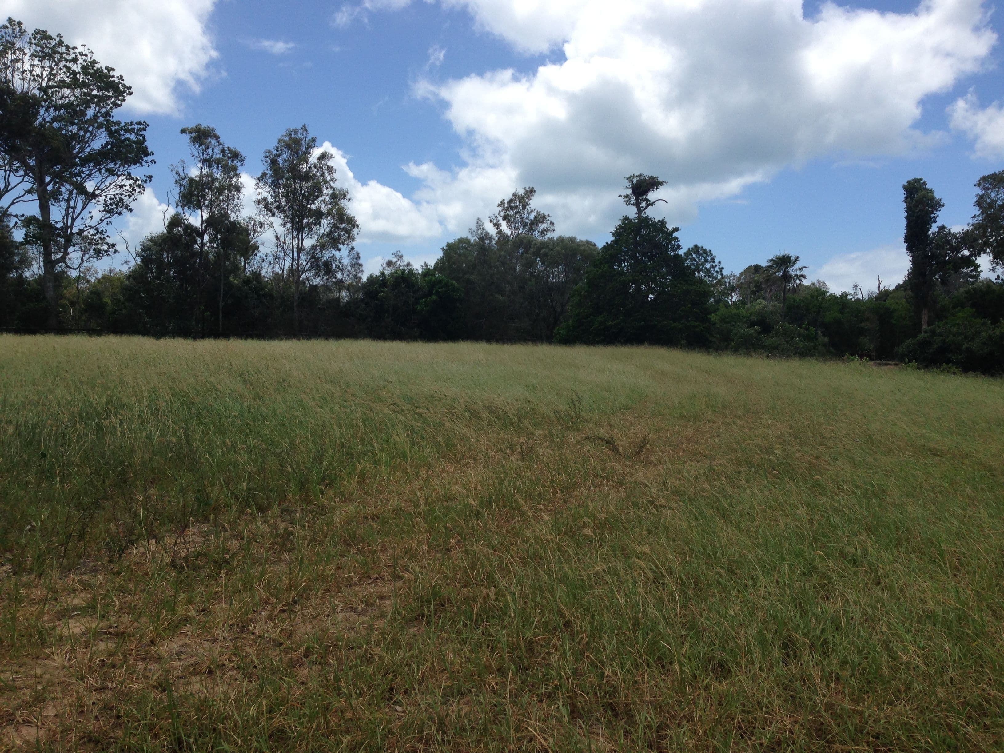 9 Nautilus Court, Dundowran Beach QLD 4655, Dundowran Beach - Thumbnail 4