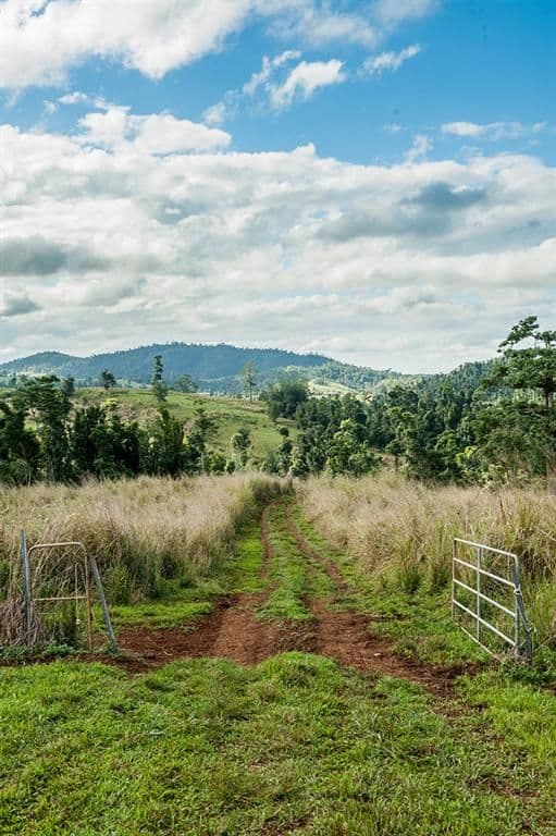 390 Donkin Road, MENA CREEK QLD 4871, Mena Creek - Thumbnail 2