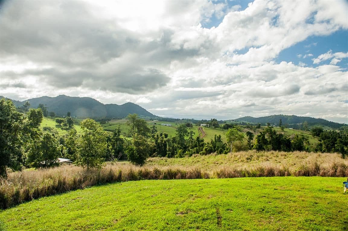390 Donkin Road, MENA CREEK QLD 4871, Mena Creek - Thumbnail 3