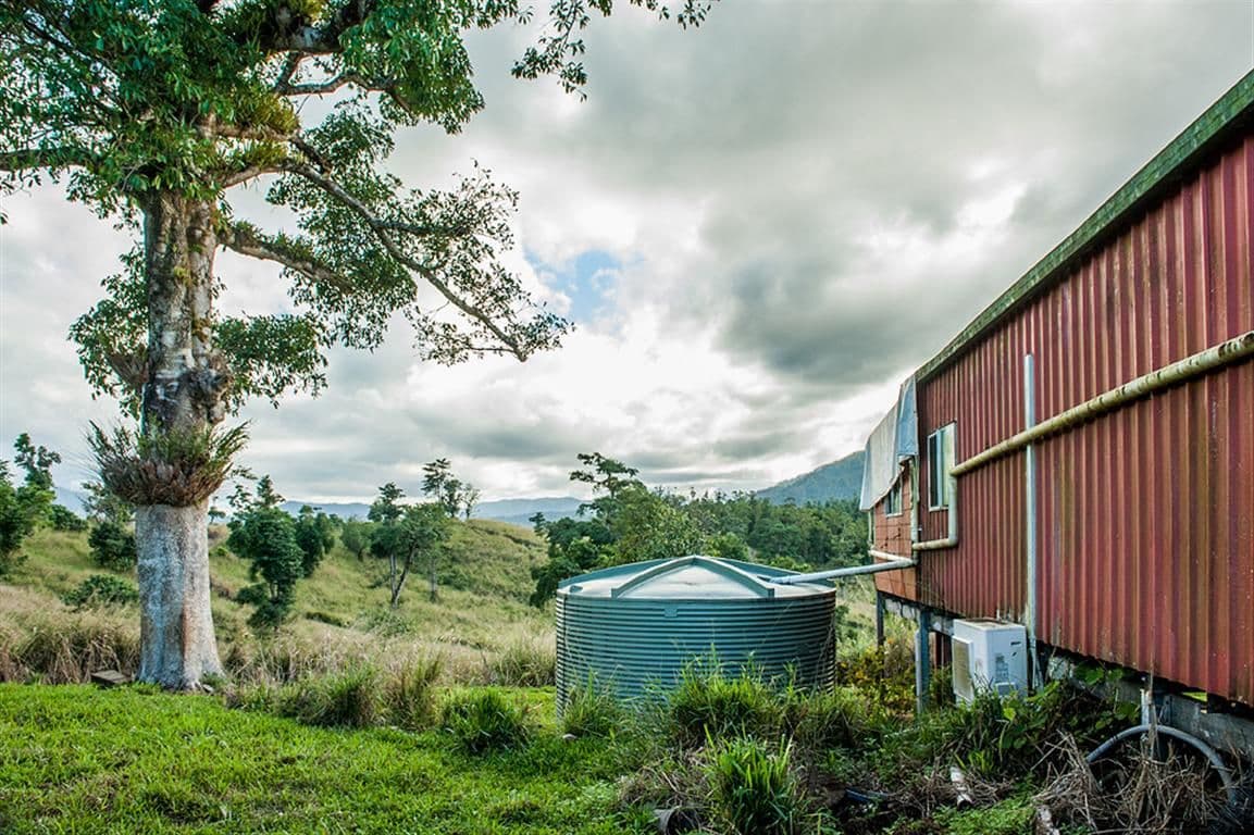 390 Donkin Road, MENA CREEK QLD 4871, Mena Creek - Thumbnail 4
