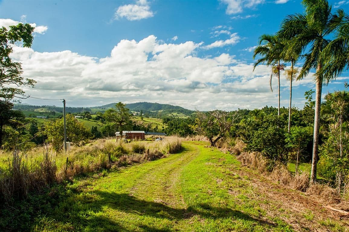 390 Donkin Road, MENA CREEK QLD 4871, Mena Creek - Thumbnail 5