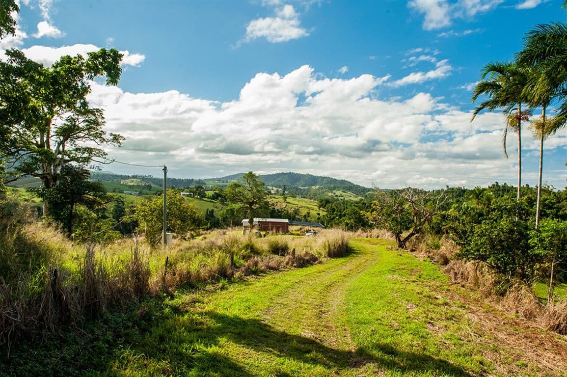 390 Donkin Road, MENA CREEK QLD 4871, Mena Creek - Thumbnail 6