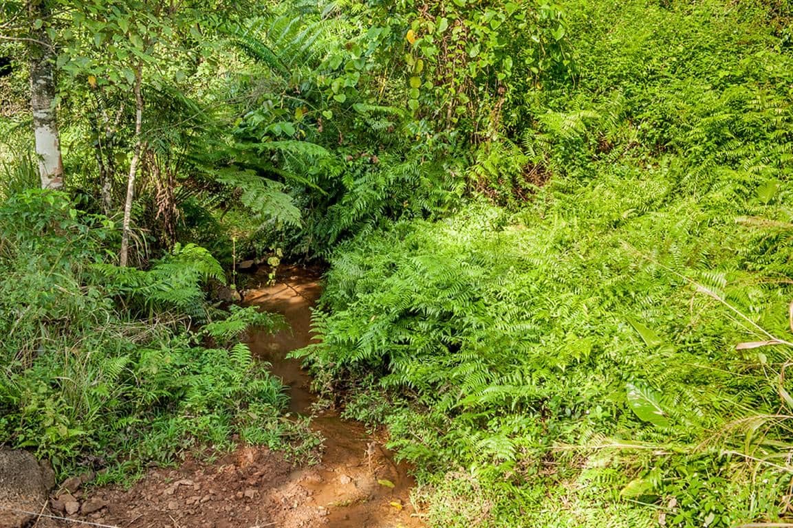 390 Donkin Road, MENA CREEK QLD 4871, Mena Creek - Thumbnail 8