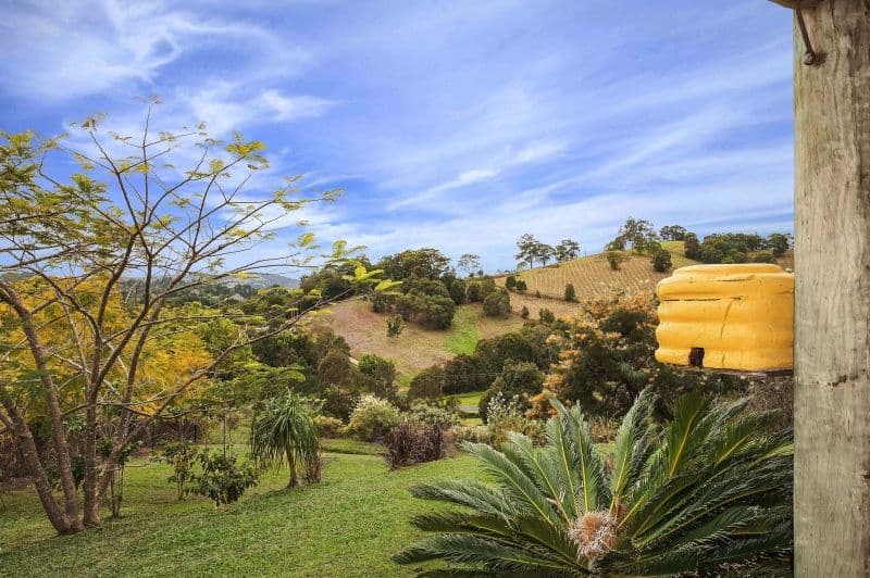 36 Spring Valley Road, Cudgera Creek - Thumbnail 7