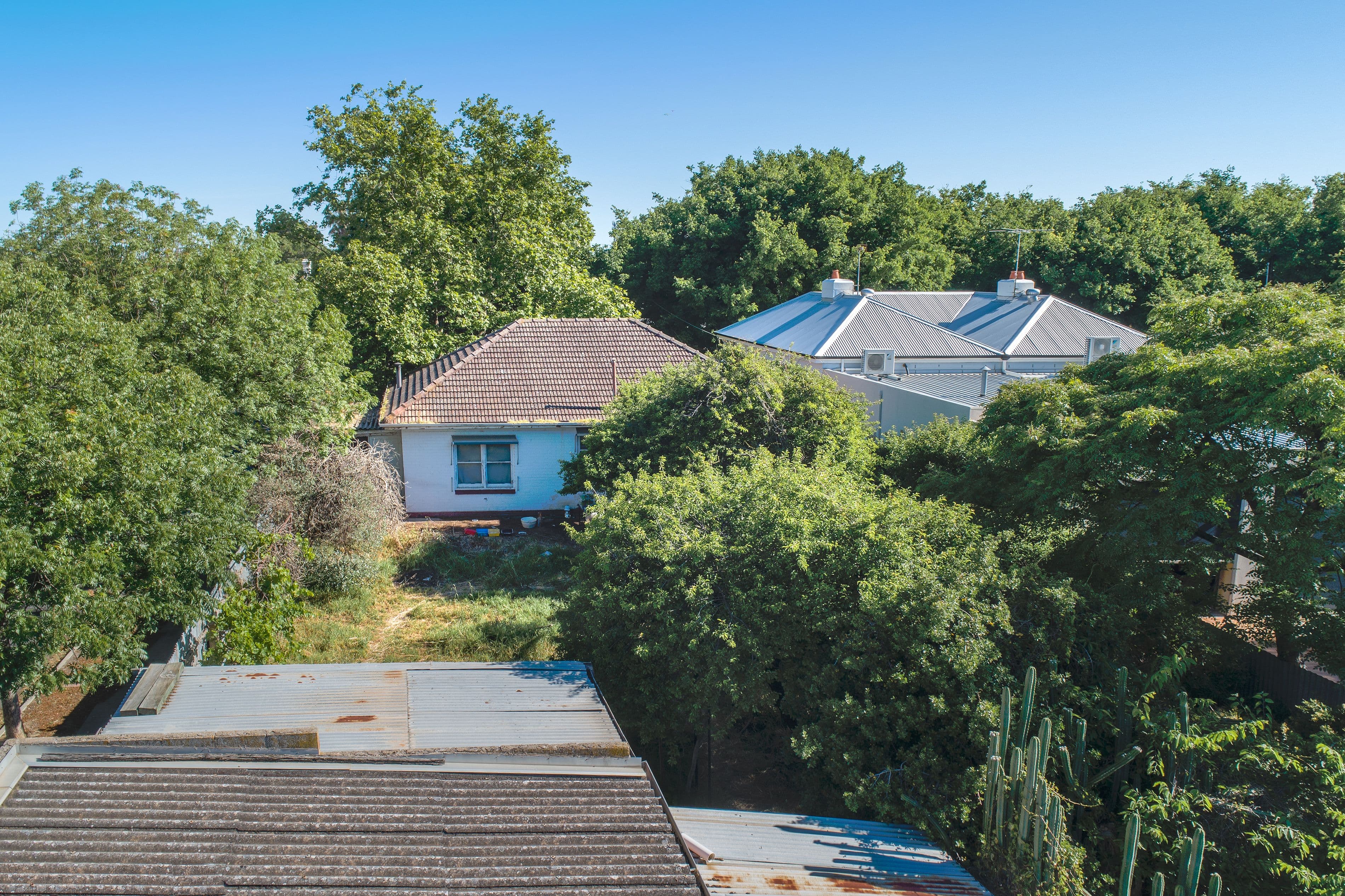 67 Gordon Road, Prospect SA 5082, Prospect - Thumbnail 4