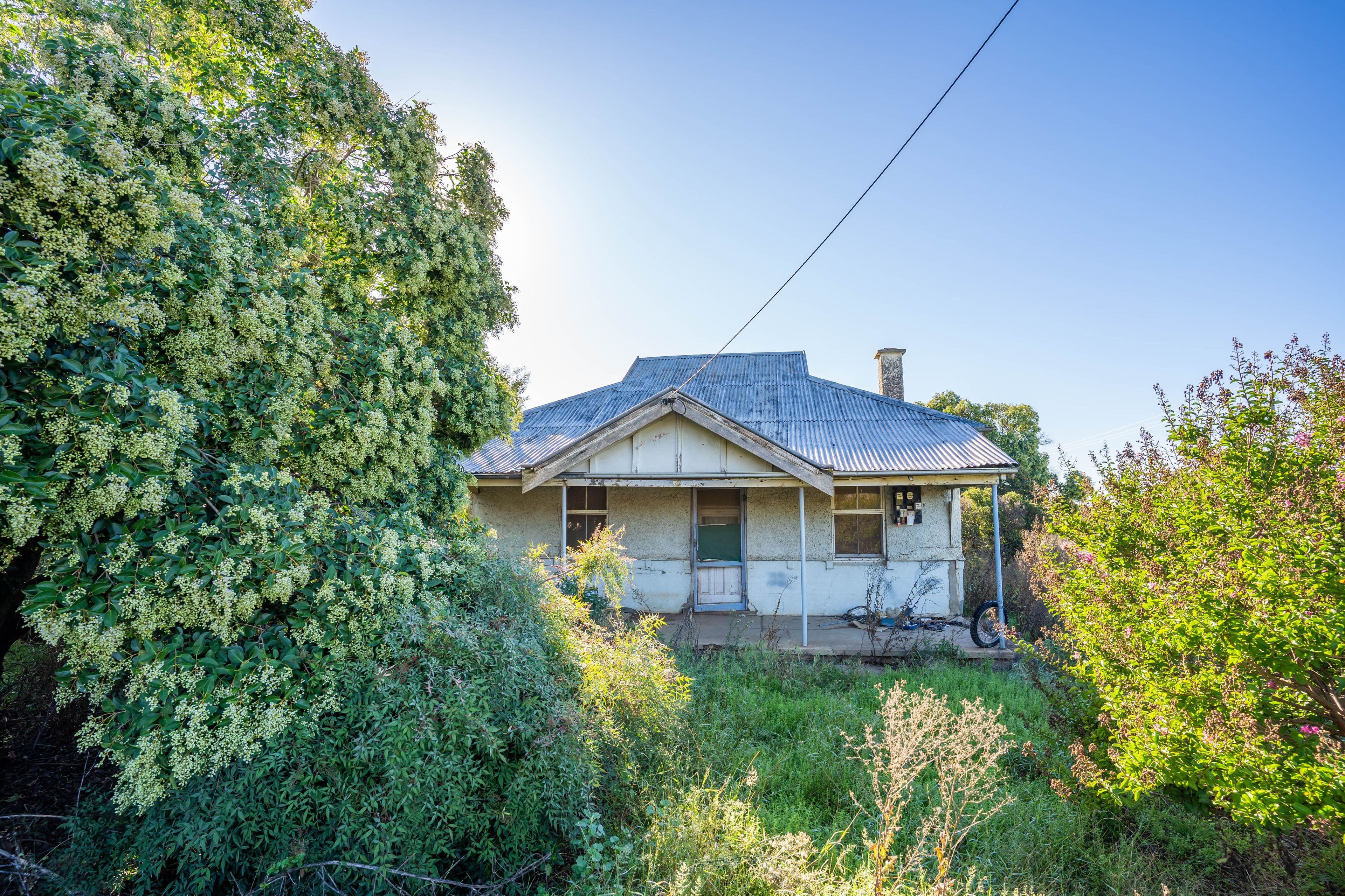 70 Rodd Street, Canowindra NSW 2804, Canowindra - Thumbnail 2