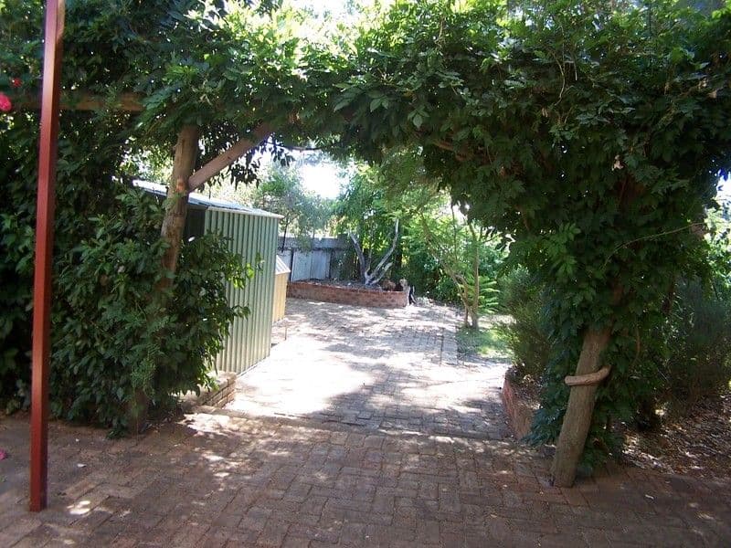 12 Winsor Road, KALAMUNDA WA 6076, Kalamunda - Thumbnail 8