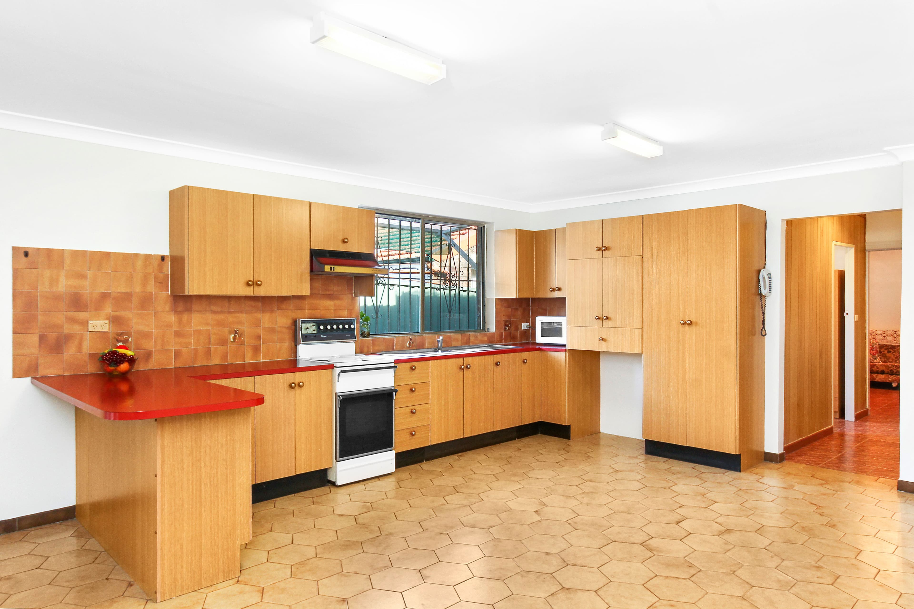 48 Gillies Street, Lakemba - Thumbnail 3