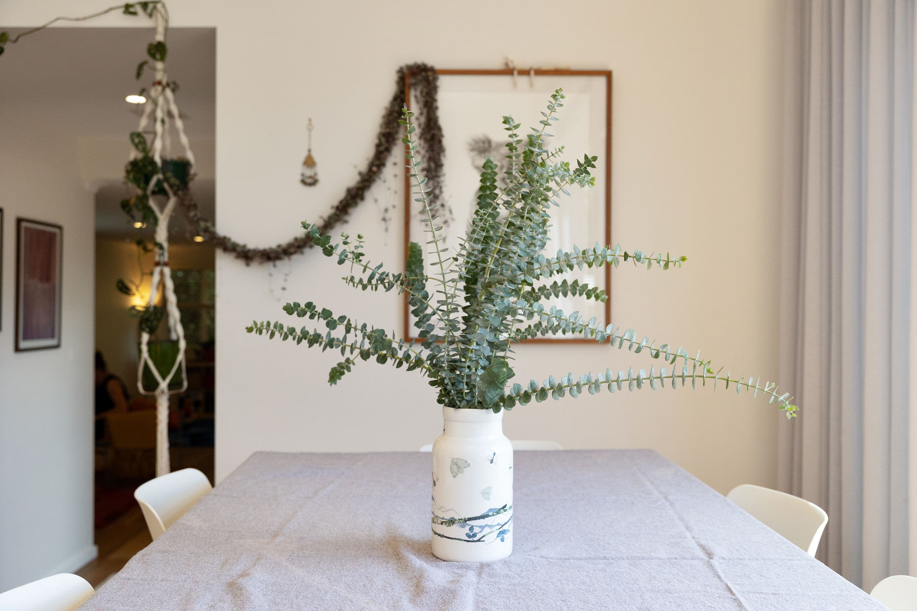 44 Redfern Street, Cook ACT 2614, Cook - Thumbnail 5