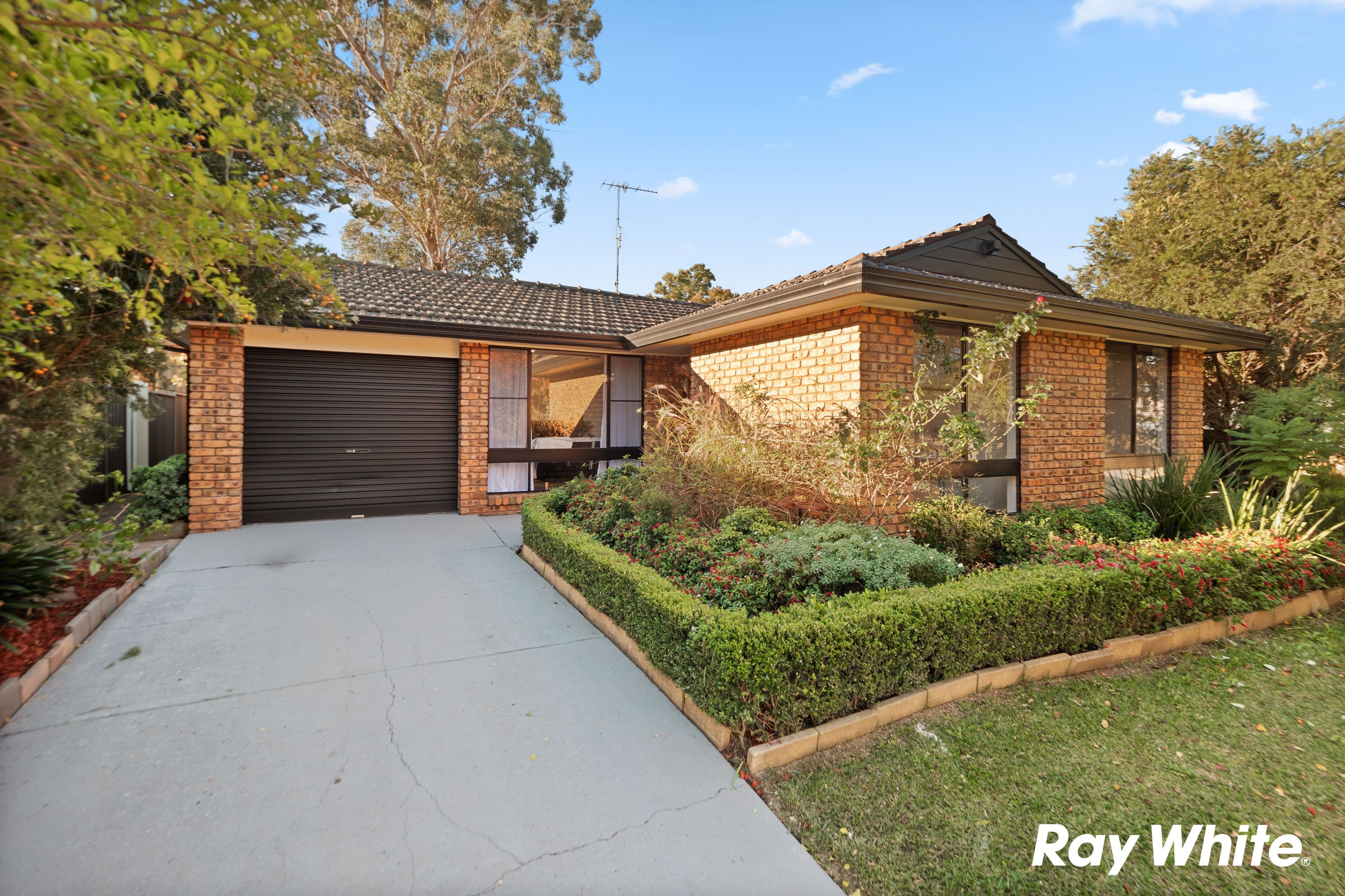 17 Muccillo Street, Quakers Hill NSW 2763, Quakers Hill - Image 1
