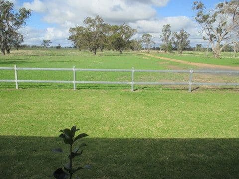 DP1118773 Castlereagh Highway, Coonamble NSW 2829, Coonamble - Thumbnail 3
