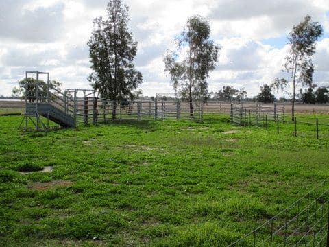 DP1118773 Castlereagh Highway, Coonamble NSW 2829, Coonamble - Thumbnail 6