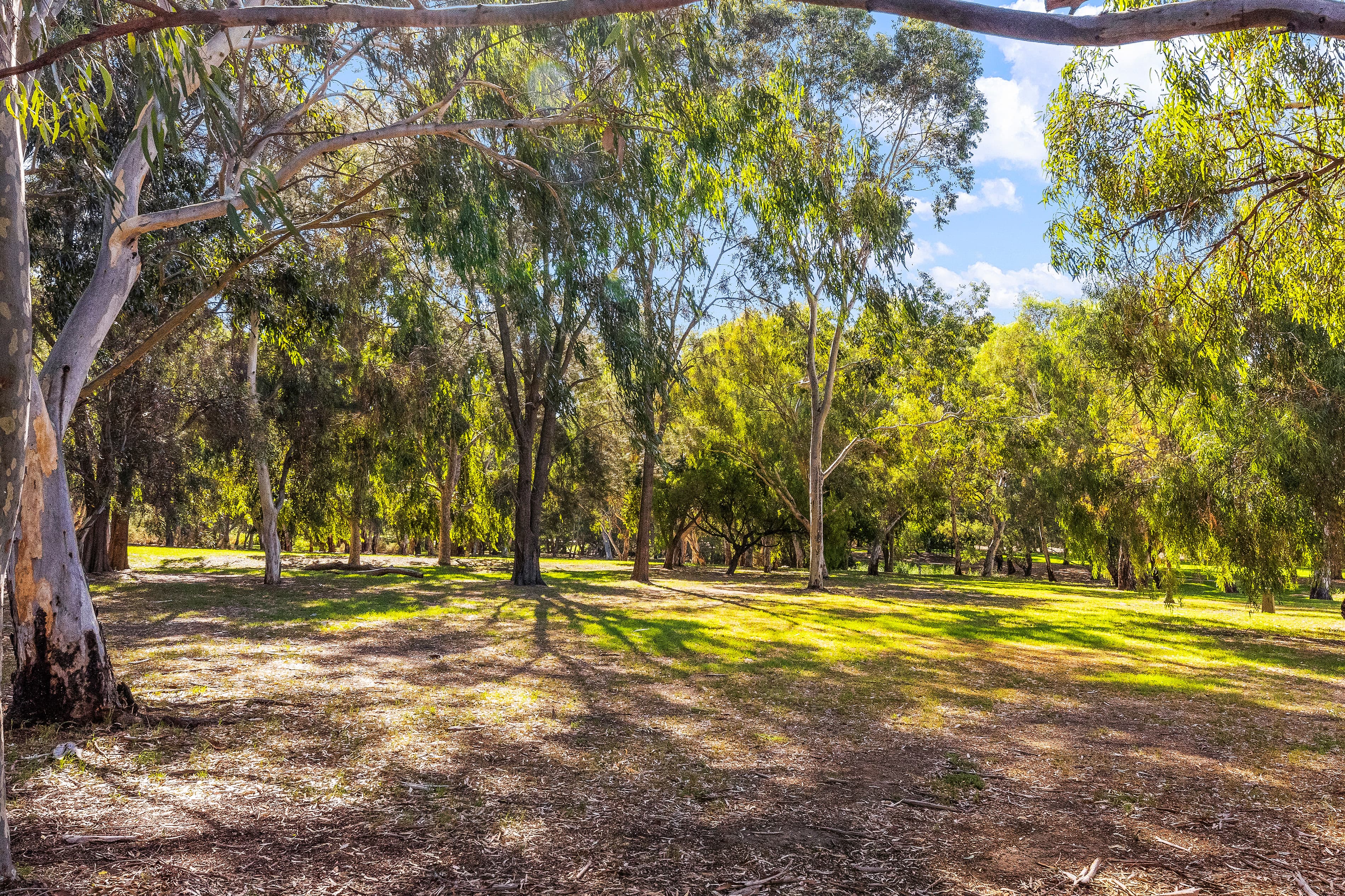 68 Riverview Drive, Paradise SA 5075, Paradise - Thumbnail 2