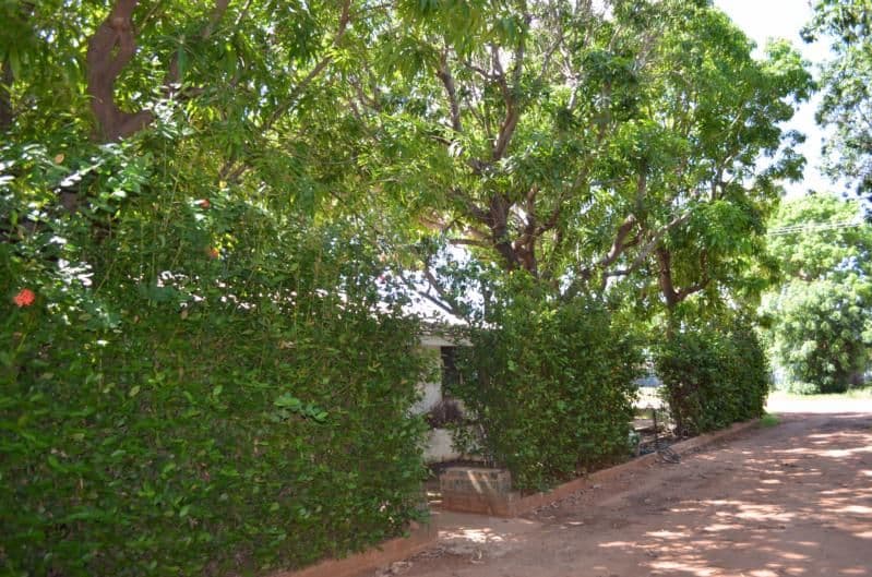 31 Rowan Street, DERBY WA 6728, Derby - Thumbnail 7