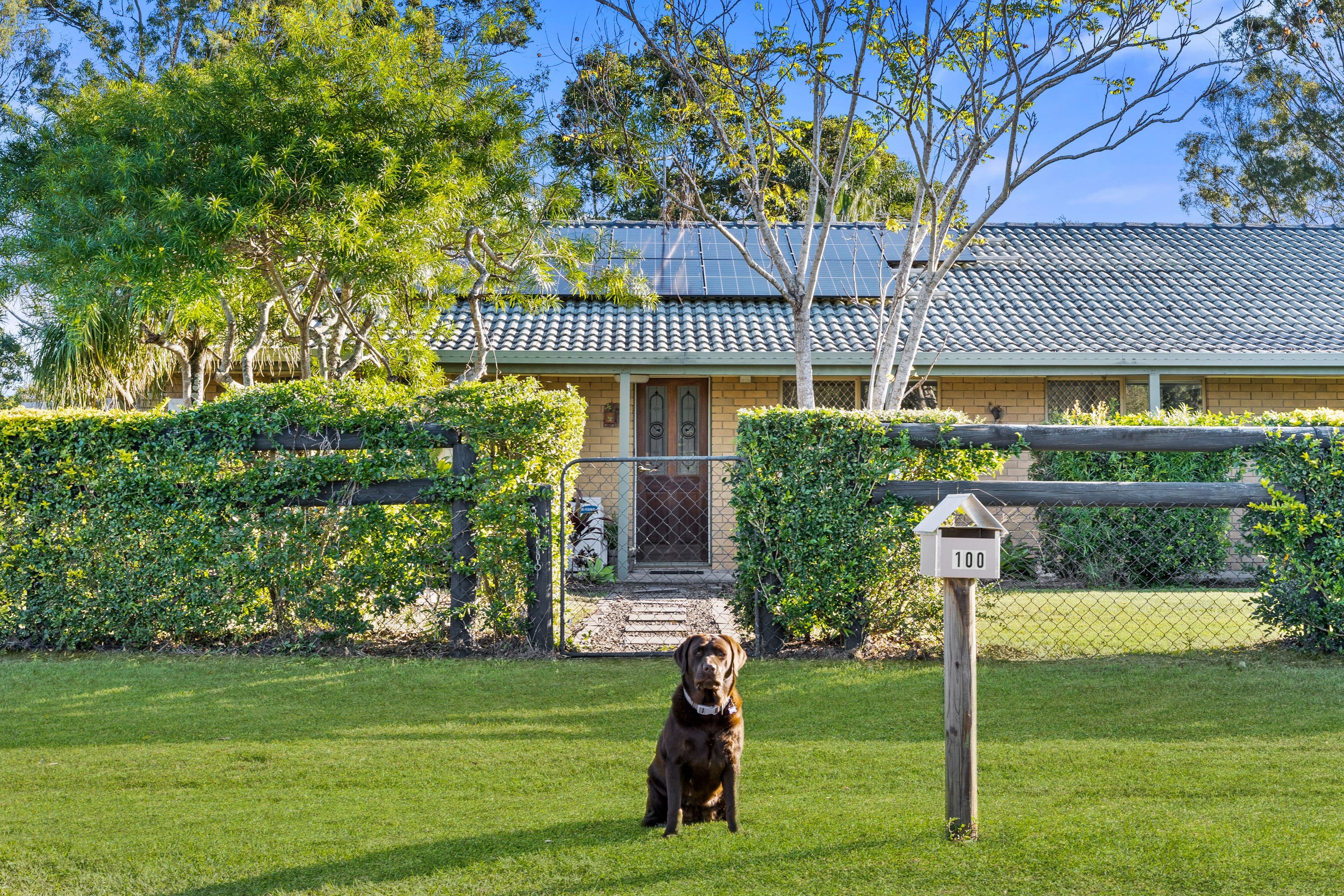 98-100 Couldery Court, Cedar Grove QLD 4285, Cedar Grove - Thumbnail 2