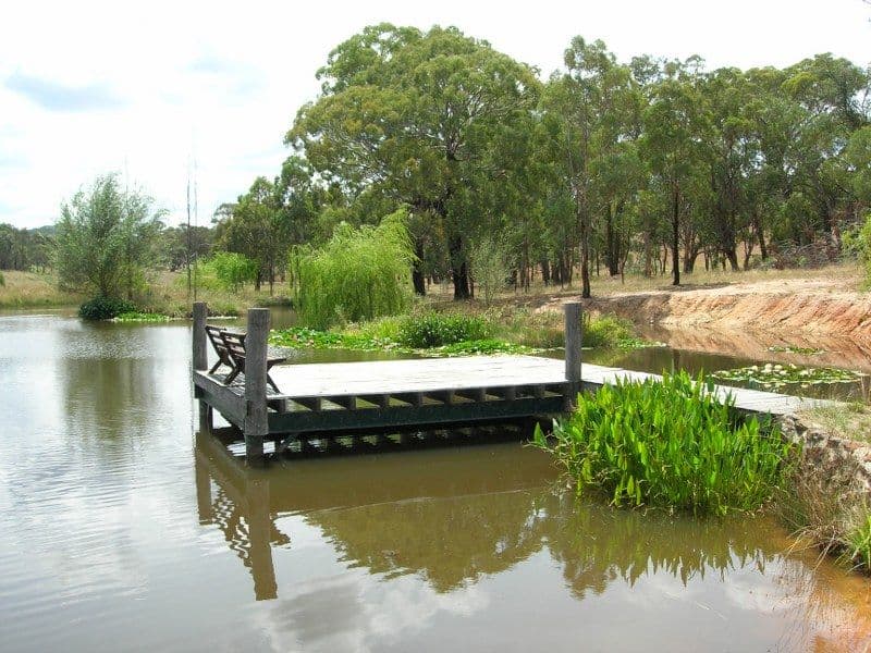 Trunkey Creek NSW 2795, Trunkey Creek - Thumbnail 5