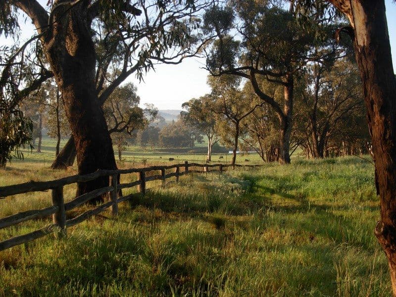 Trunkey Creek NSW 2795, Trunkey Creek - Thumbnail 6