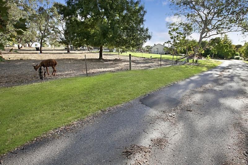 1332 Lower North East Road, HOUGHTON SA 5131, Houghton - Image 1