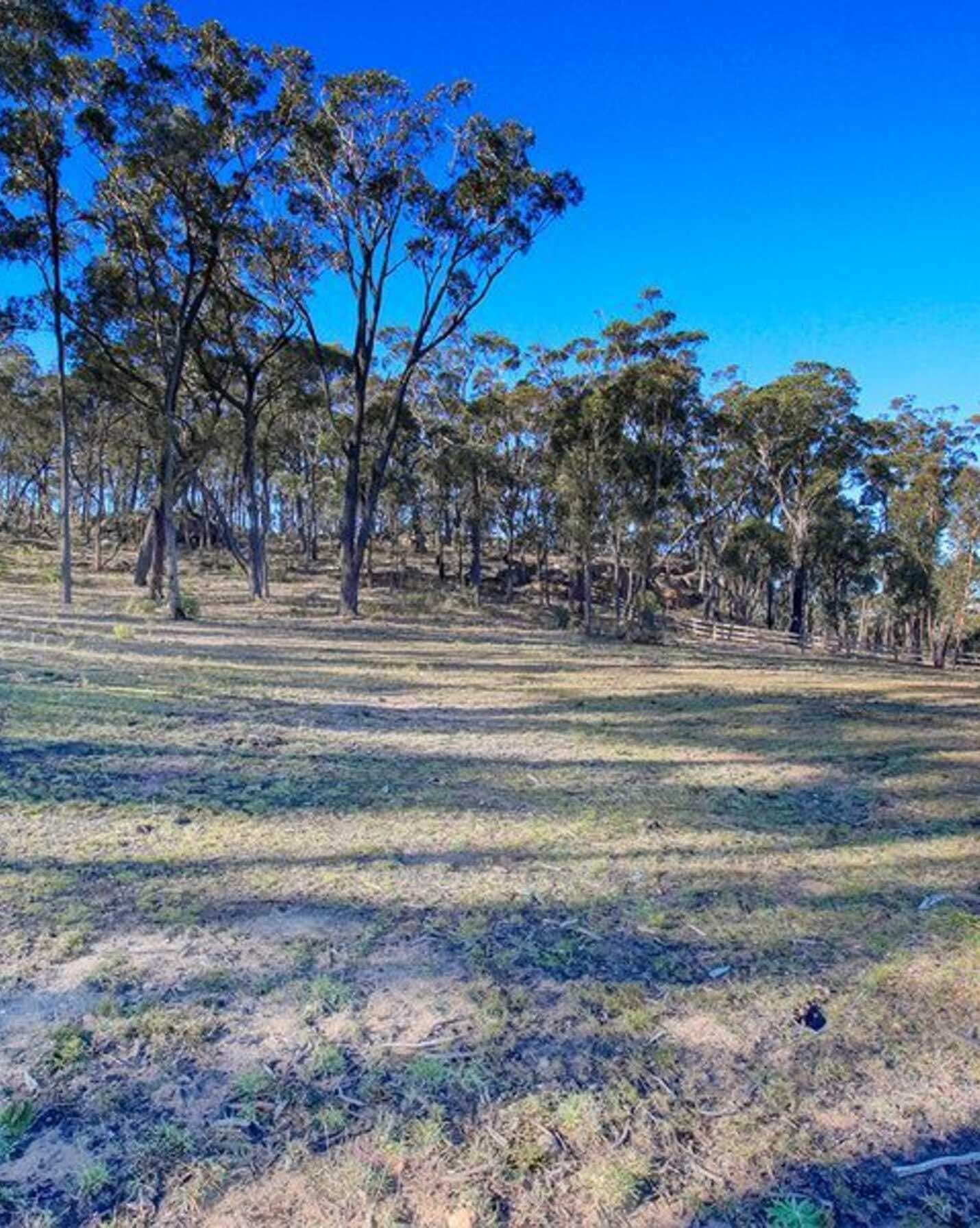 190 Hanging Rock Road Sutton Forest, Forest - Thumbnail 7