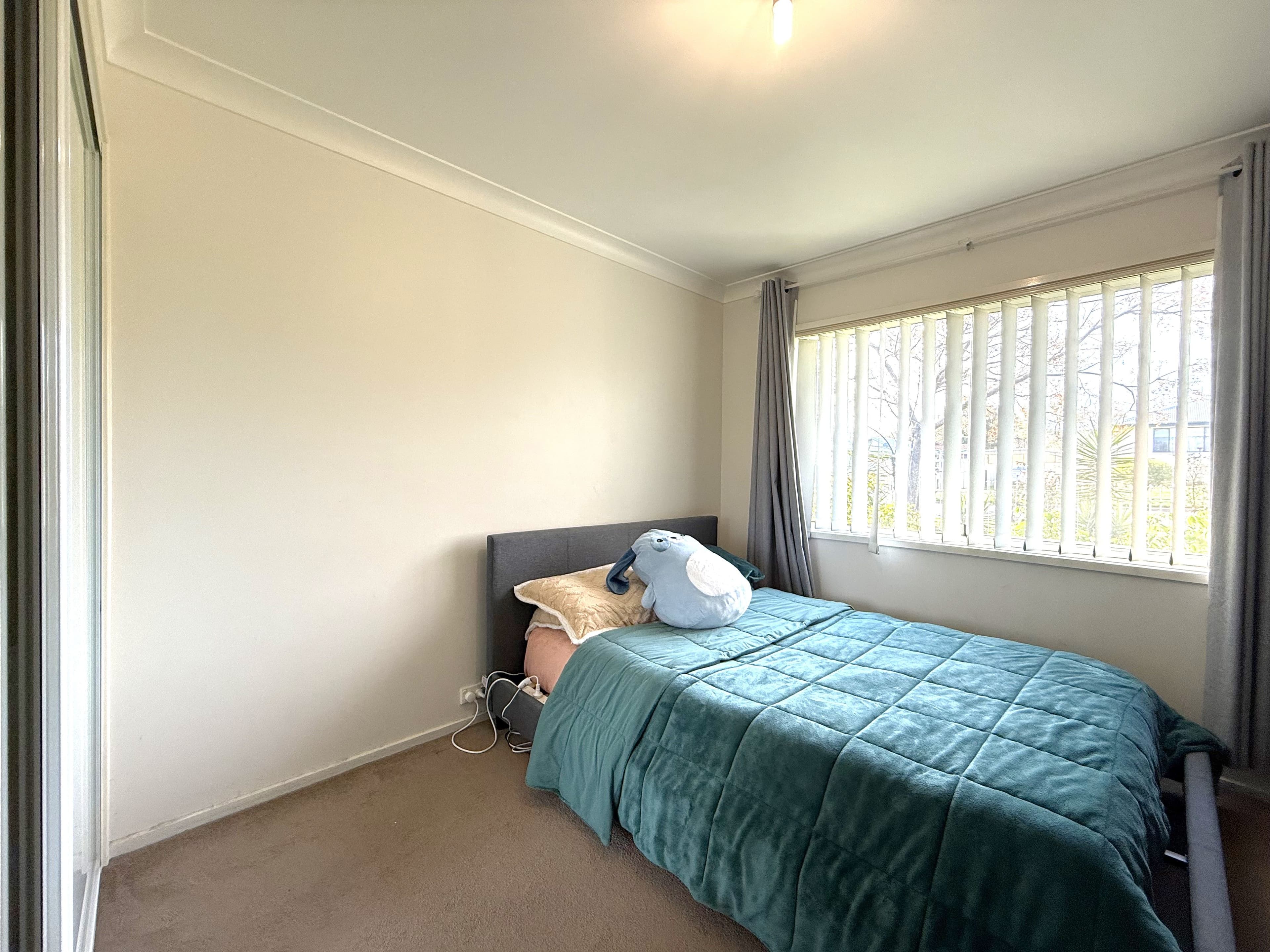 44 Prospect Street, Young NSW 2594, Young - Thumbnail 8