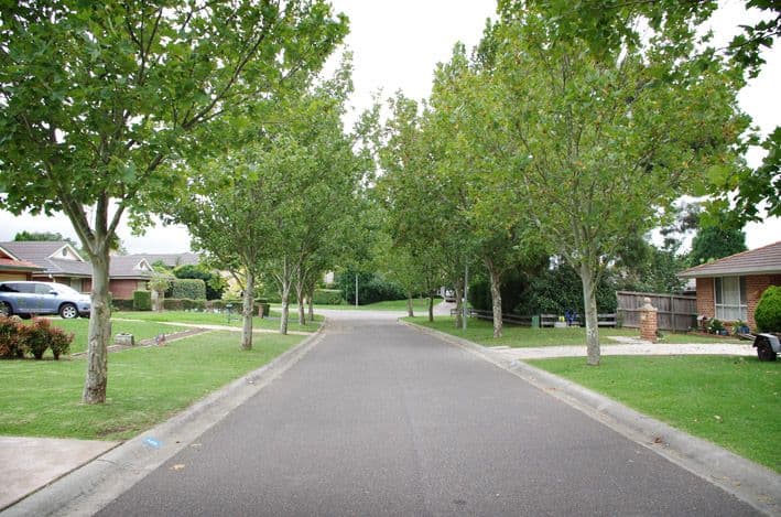 8 Plane Tree Place, Bowral NSW 2576, Bowral - Thumbnail 2