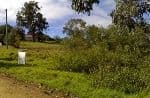 PATERSON NSW 2421, Paterson - Thumbnail 3
