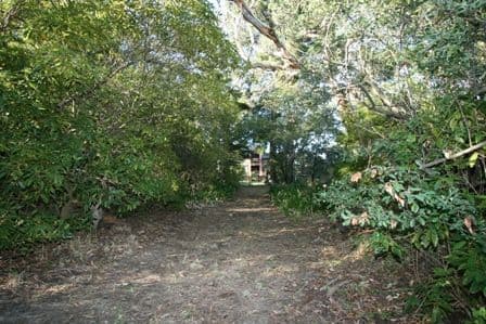 185 (LOT 3)  Bayview Road, MCCRAE VIC 3938, McCrae - Thumbnail 8