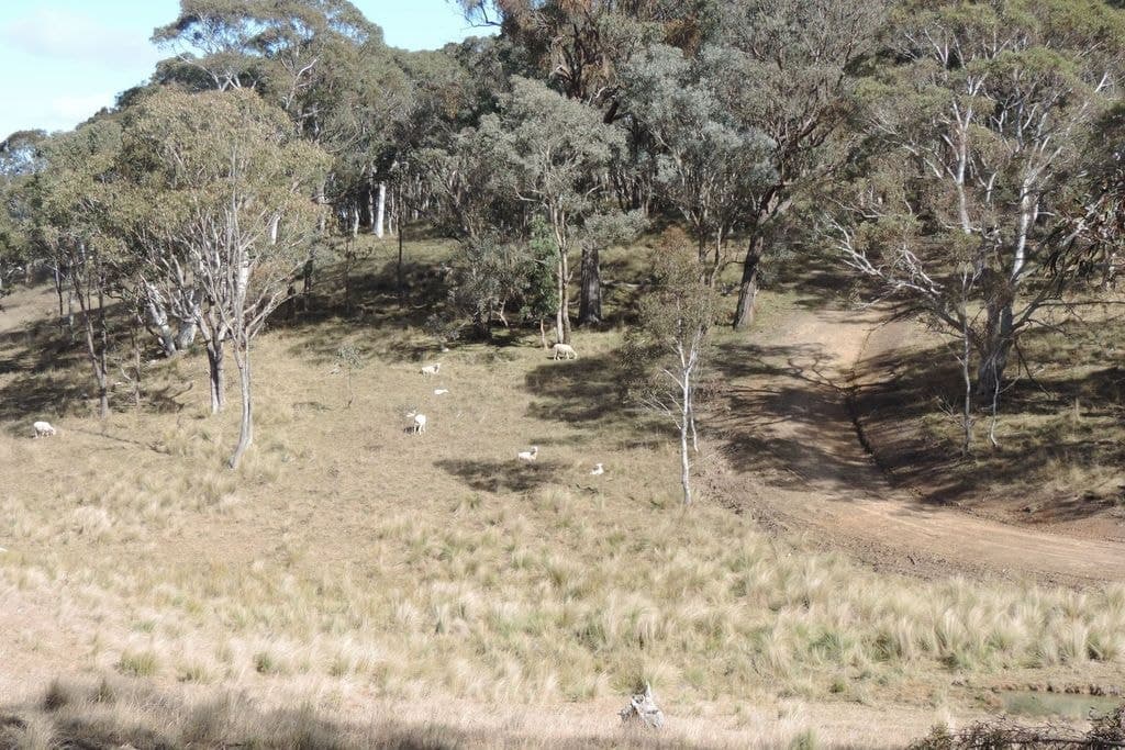 Part 3287 Gurrundah Road, Morwell - Thumbnail 3