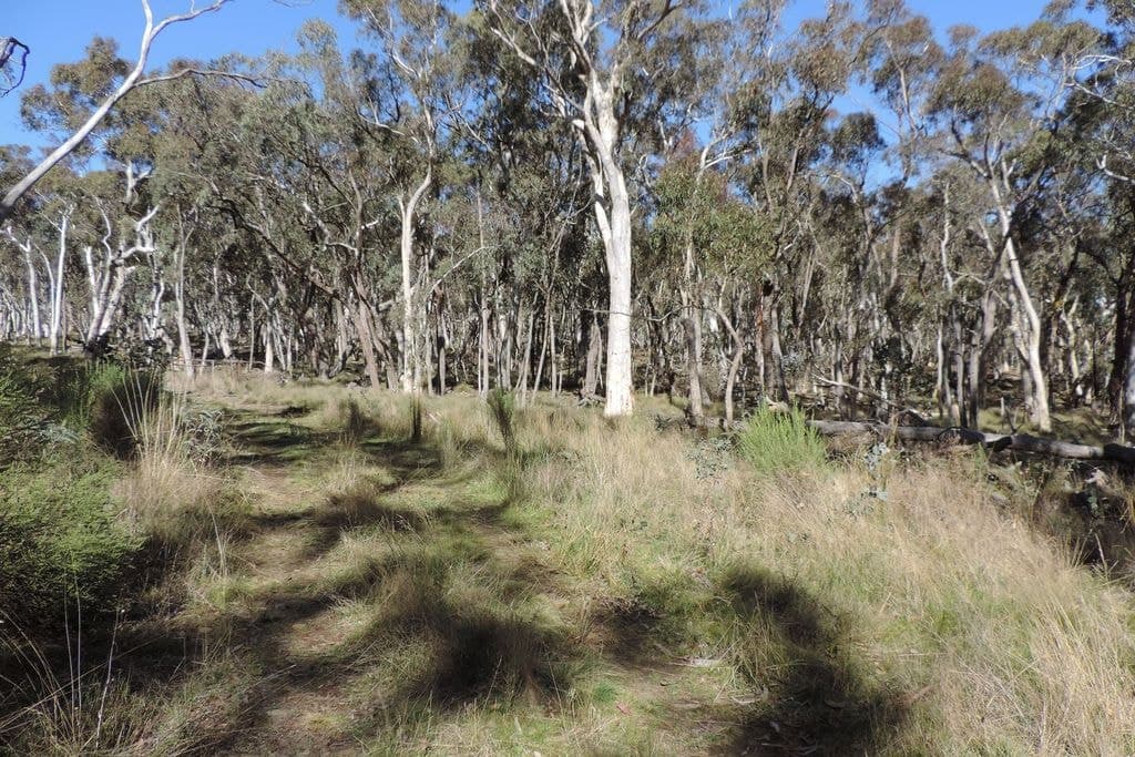 Part 3287 Gurrundah Road, Morwell - Thumbnail 4