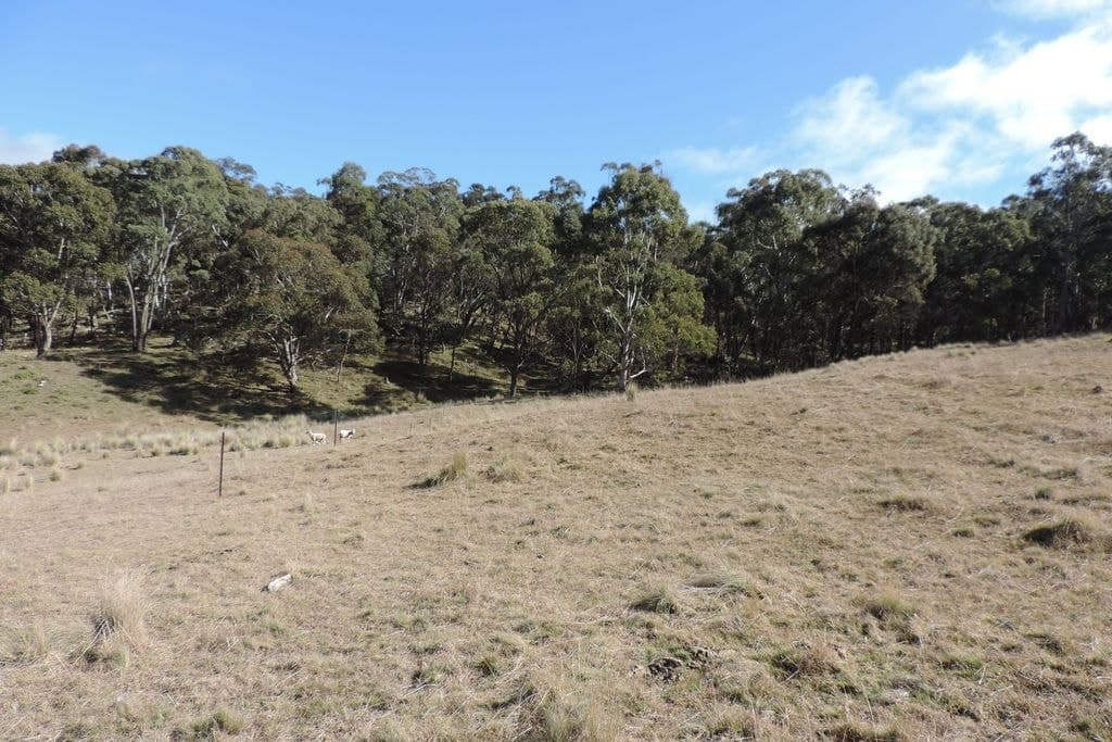 Part 3287 Gurrundah Road, Morwell - Thumbnail 5