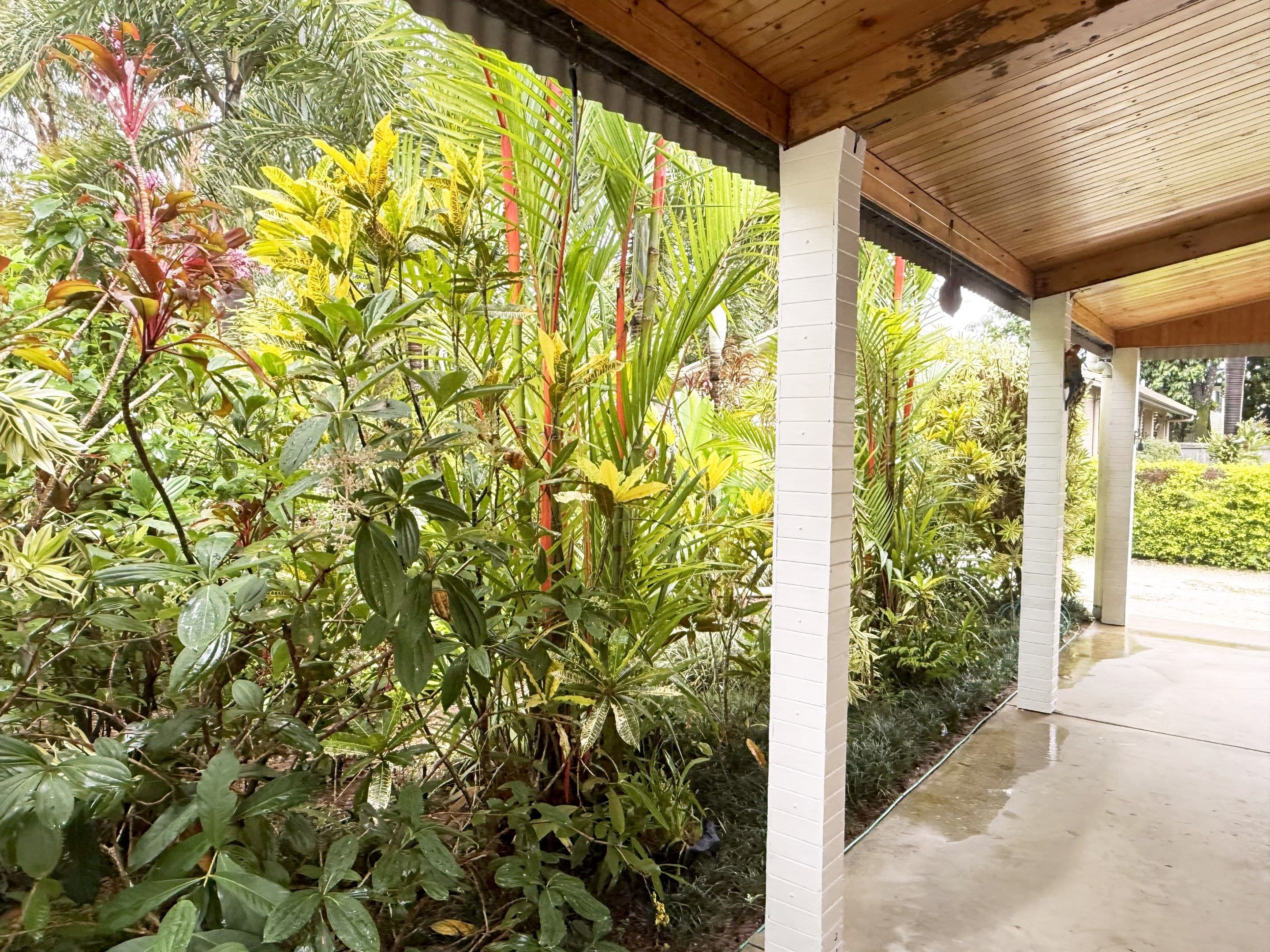 28 Kwila Street, Wongaling Beach QLD 4852, Wongaling Beach - Thumbnail 7