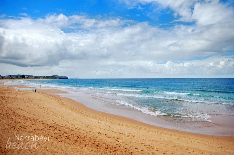11 Wetherill Street, NARRABEEN NSW 2101, Narrabeen - Thumbnail 3