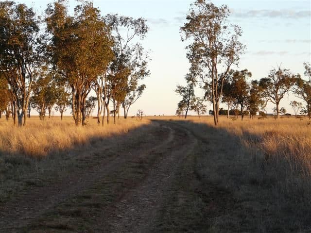 527 Bungeworgorai - Bindango  Lane, ROMA QLD 4455, Roma - Thumbnail 2