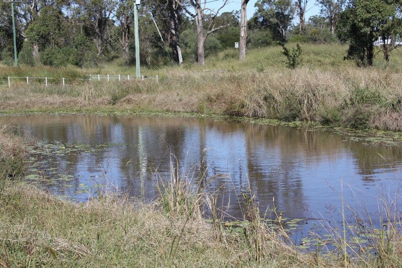 6463 Mt Lindesay Highway, GLENEAGLE QLD 4285, Gleneagle - Thumbnail 8