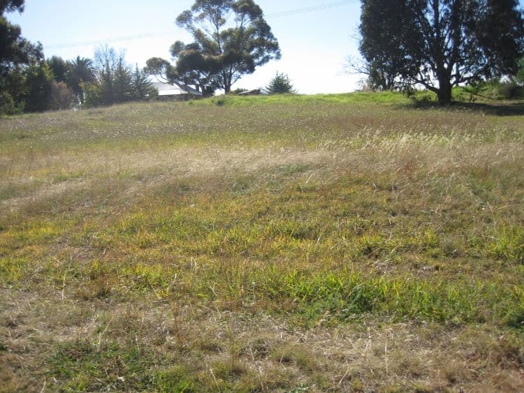 5 Angel Court, YOUNG NSW 2594, Young - Image 1