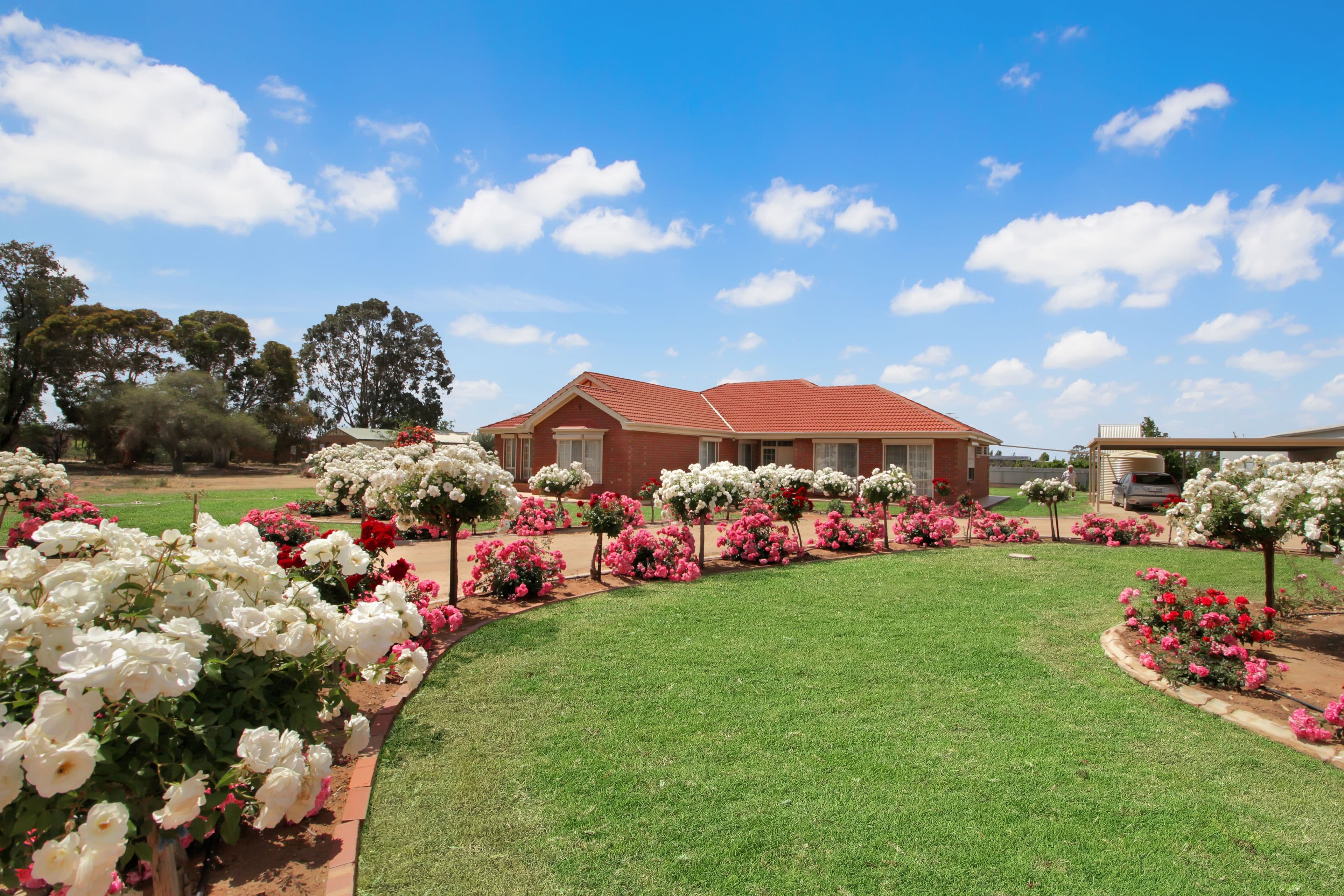 20102 Renmark Avenue, Renmark SA 5341, Renmark South - Image 1
