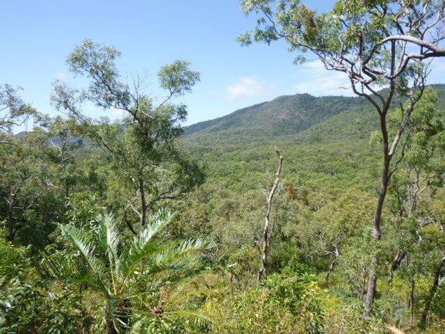 103 Esk Valley Road, Cooktown QLD 4895, Cooktown - Thumbnail 2