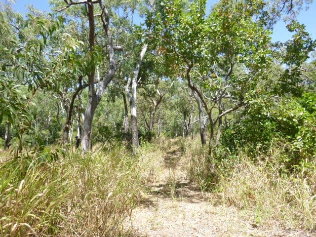 103 Esk Valley Road, Cooktown QLD 4895, Cooktown - Thumbnail 3