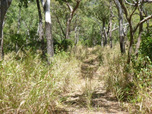 103 Esk Valley Road, Cooktown QLD 4895, Cooktown - Thumbnail 7