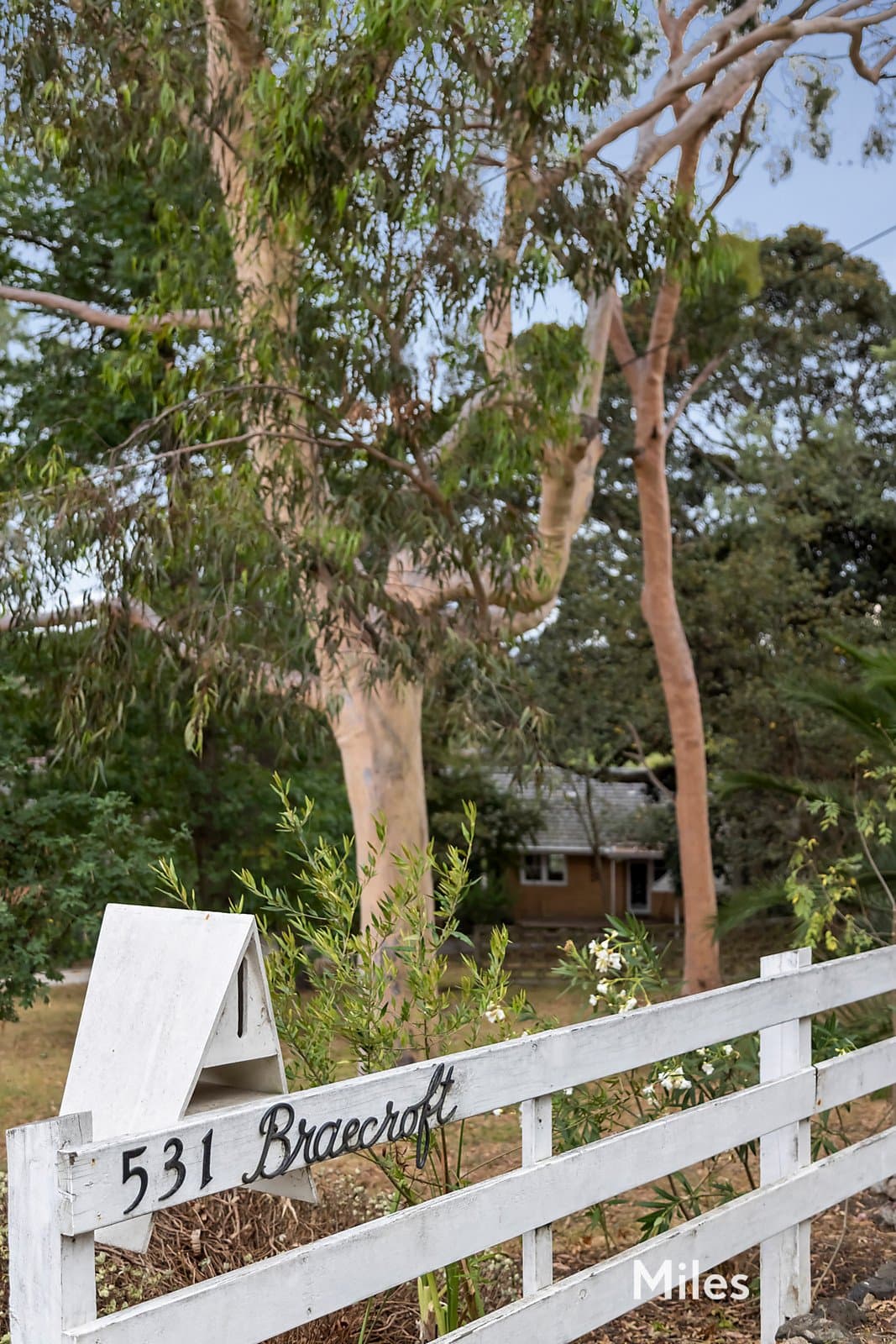 531 The Boulevard, Ivanhoe East, Ivanhoe East - Thumbnail 2