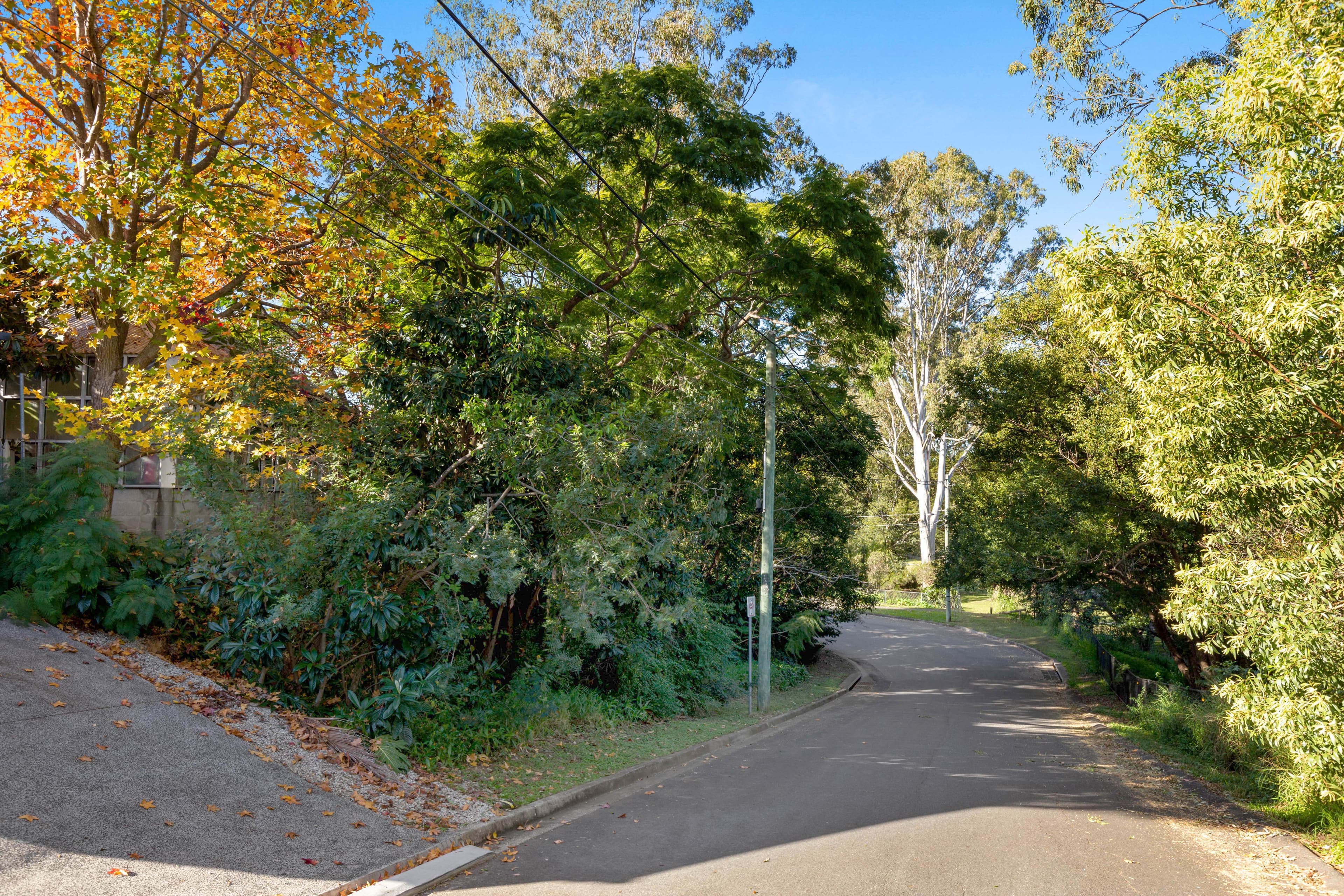 65 Moorbell Street, Tarragindi QLD 4121, Tarragindi - Thumbnail 5