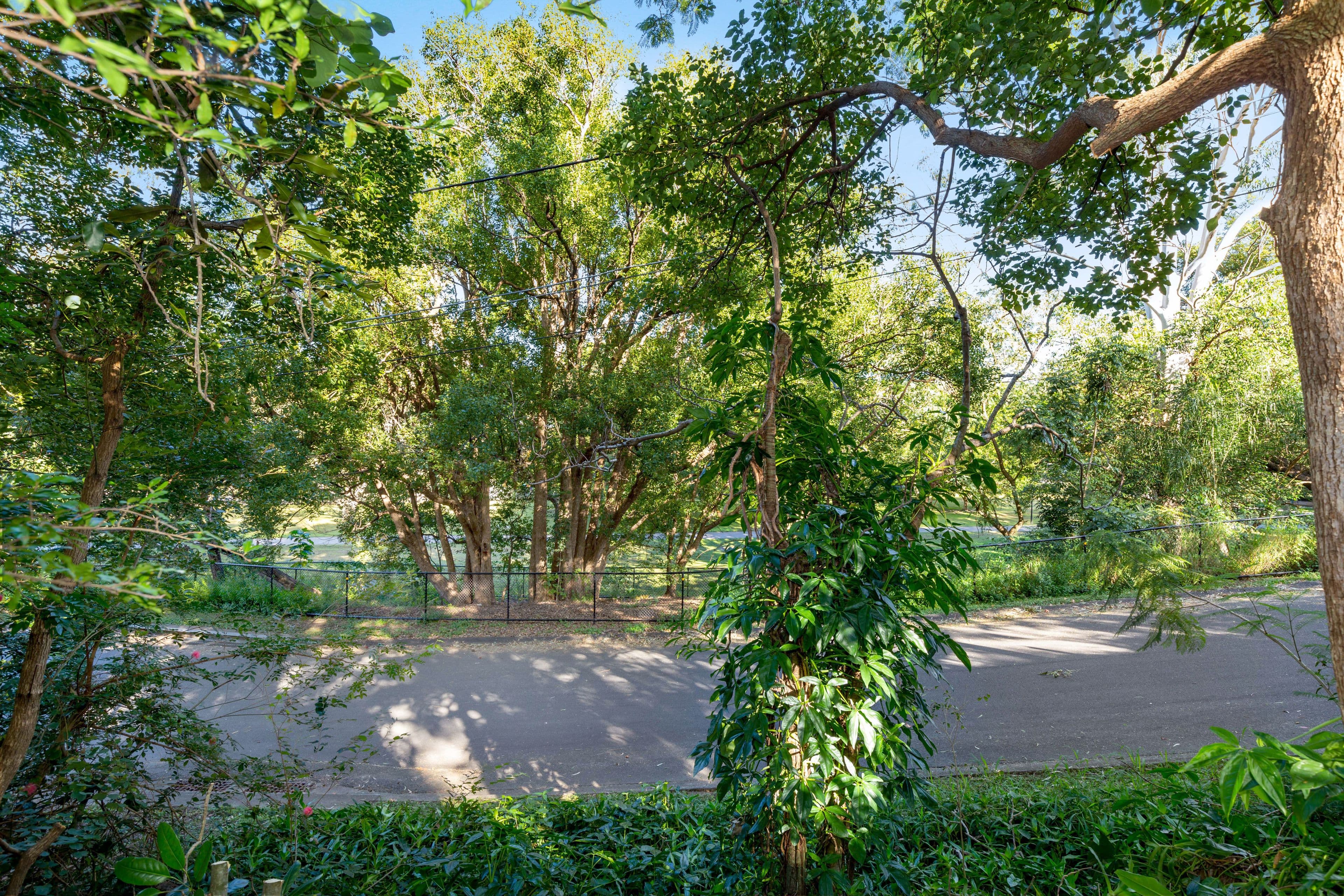 65 Moorbell Street, Tarragindi QLD 4121, Tarragindi - Thumbnail 8
