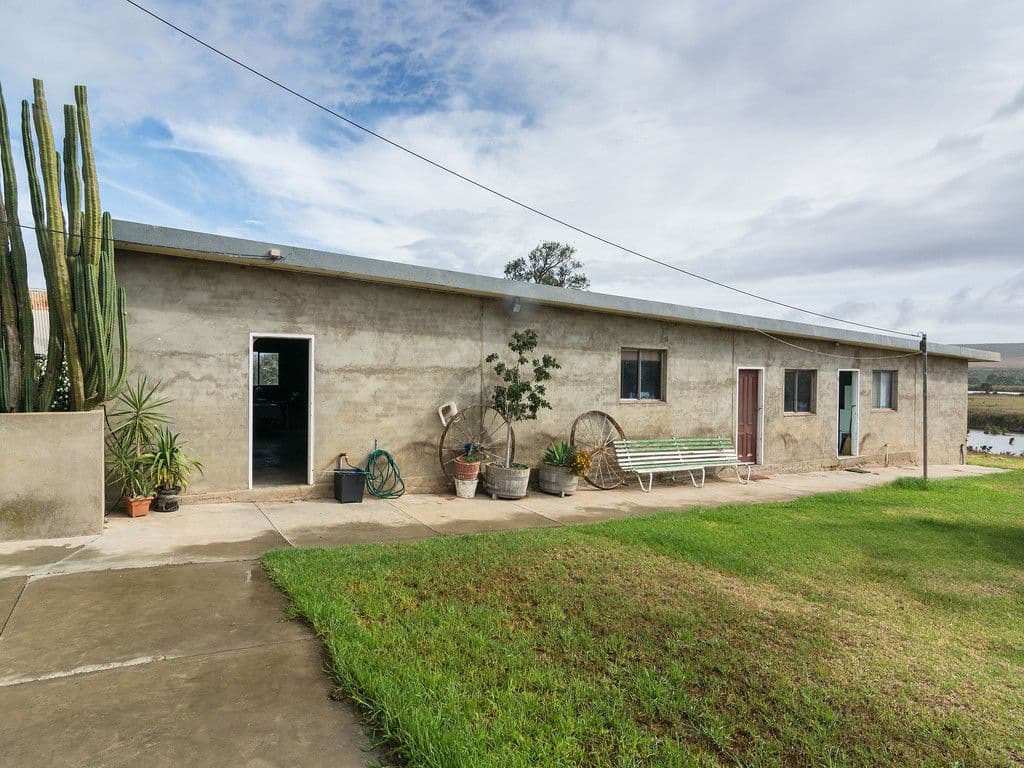 41 Graziano Road, Mannum SA 5238, Mannum - Thumbnail 8