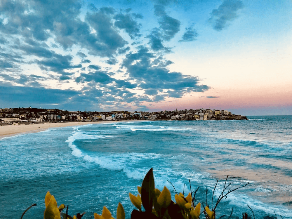 36-38 Penkivil Street, Bondi NSW 2026, Bondi - Thumbnail 7