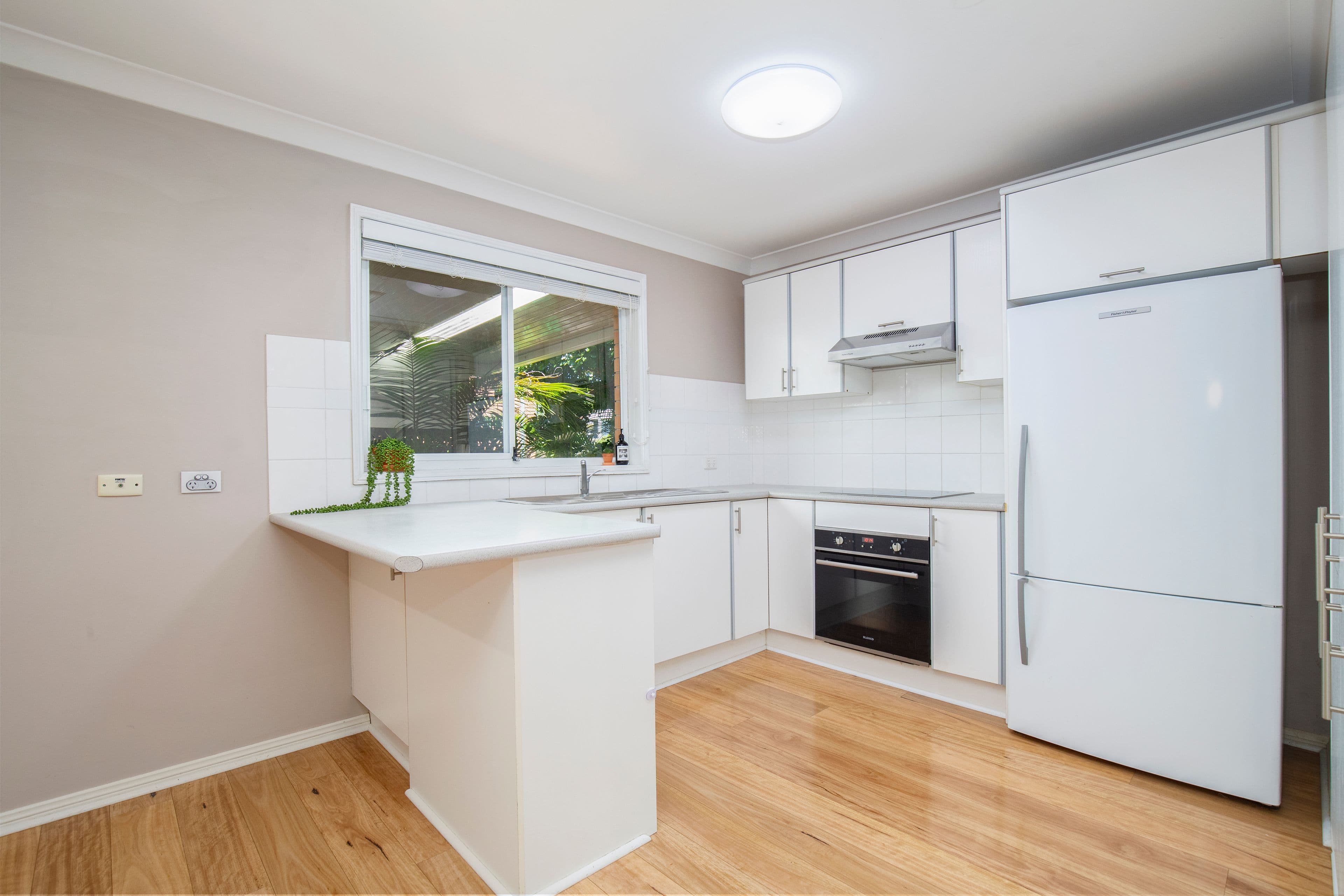 33 Edward Street, Charlestown NSW 2290, Charlestown - Thumbnail 5