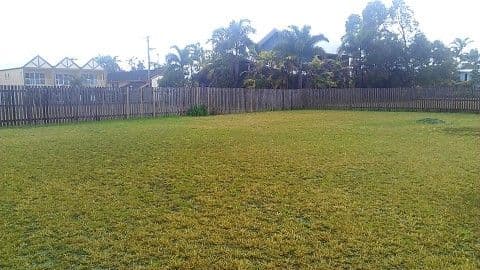 18 Holland Street, WONGALING BEACH QLD 4852, Wongaling Beach - Thumbnail 2