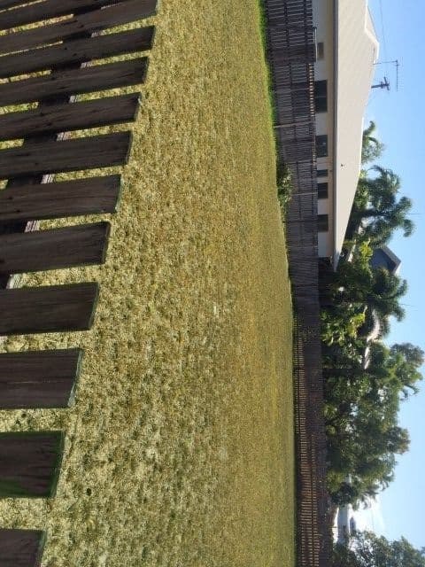 18 Holland Street, WONGALING BEACH QLD 4852, Wongaling Beach - Thumbnail 5