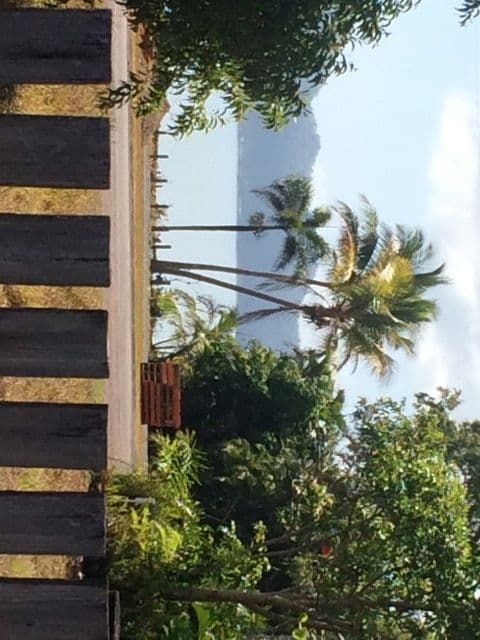 18 Holland Street, WONGALING BEACH QLD 4852, Wongaling Beach - Thumbnail 7