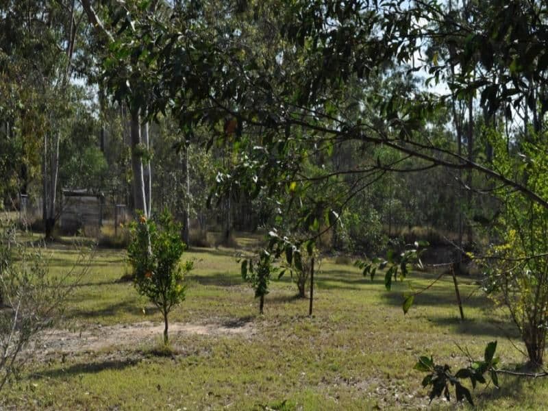 13 Klipspringer Court, GREENBANK QLD 4124, Greenbank - Thumbnail 8